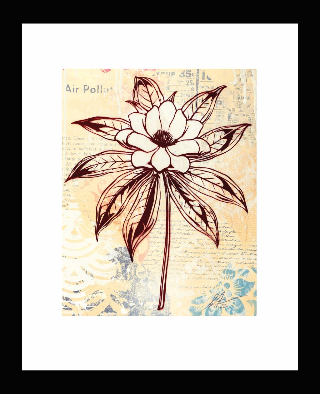Magnolia